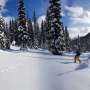 Backcountry recreation and roads linked to fewer wolverines in Canadian mountains