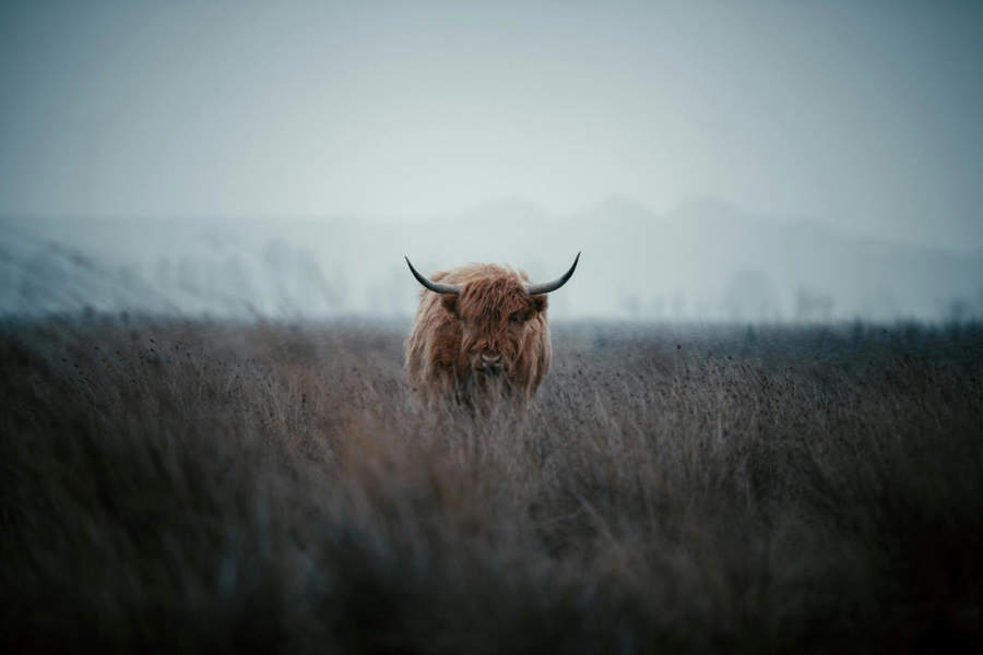 Bitcoin's 44% gain in third quarter teases full-blown crypto bull run