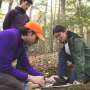 Climate warming can slow how tree roots feed soil microbes