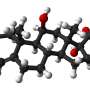 Cortisol is a reproduction friend, not enemy