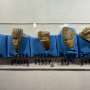 Dinosaur snacked on seaweed washed up on North American coasts, fossil teeth suggest