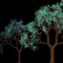 DNA 'flight recorder' traces embryonic development cell by cell