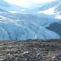 Drones, satellites and AI help scientists watch over Antarctica's smallest lifeforms