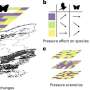 Even biodiversity-friendly policies may not halt declines in Europe's common birds and butterflies by 2050