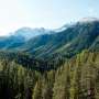 Even high-altitude forests in Switzerland are now weakened by frequent droughts, making natural hazards more dangerous