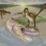 Fossil bite marks suggest first evidence of a small raptor feeding on an apex predator