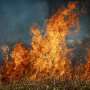 From flames to haze, wildfire smoke transforms as it travels, and it can harm your health in different ways