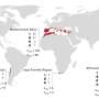 Global review reveals major blind spots in our understanding of climate change impacts on Mediterranean ecosystems