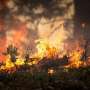 Global wildfires decreased during the COVID-19 lockdown, but some fires intensified without human intervention