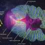 How the sun's galactic journey and superflare-filled youth shaped Earth's climate