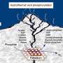 Hydrothermal vents supply a geochemical precursor of ATP that could have powered early life