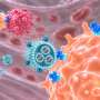 Nanoparticle injection reprograms NK immune cells to fight cancer and autoimmune disorders