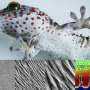 Nanoscale hairs may help gecko skin trap moisture and slow evaporation