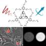 New metal-free molecules glow deep red in water and boost MRI contrast in test images