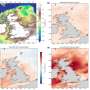 North Sea heat wave fueled underwater plankton bloom largely missed by satellites