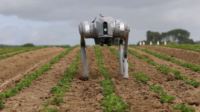 Robot dogs on farms do a lot more than just guarding