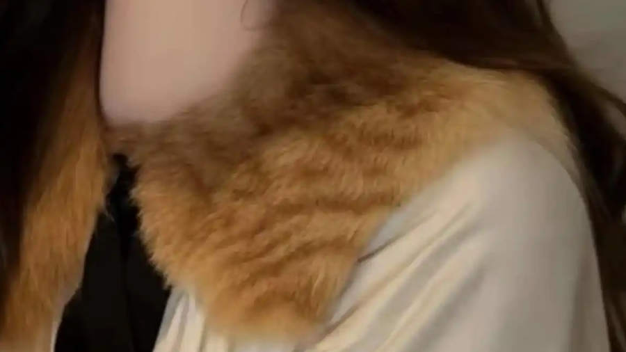 “网红店”用猫毛做衣服
