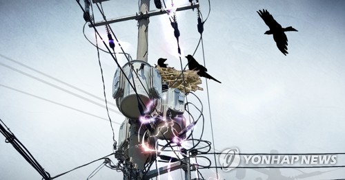 양주 삼숭·만송동 일대 정전…새가 설비 건드려