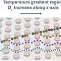 Temperature-tunable micropillars enable programmable sorting of particles and cells