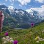 Tracking the movement of plants