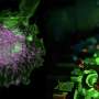 Virtual cells built from 4D AI models and 'digital twins' could speed up drug discovery