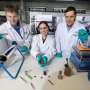 Water-based process turns wood industry byproduct into carbon nanofibers for sodium-ion batteries