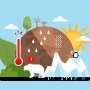 Who is responsible for limiting global warming to 1.5°?