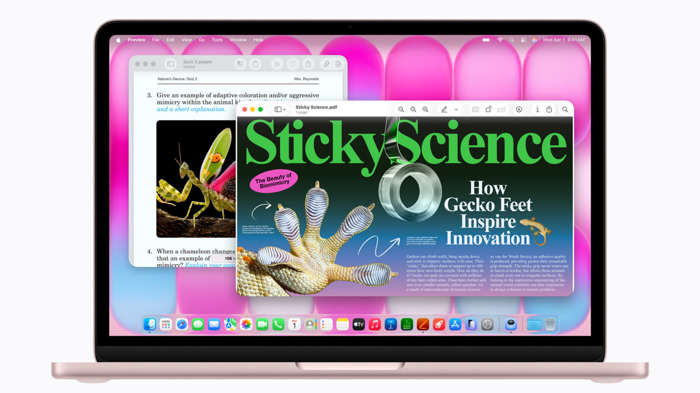 Why is this the only pink MacBook available right now?