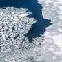 Winter sea ice loss may be underestimated, ancient clues from a warmer Arctic suggest