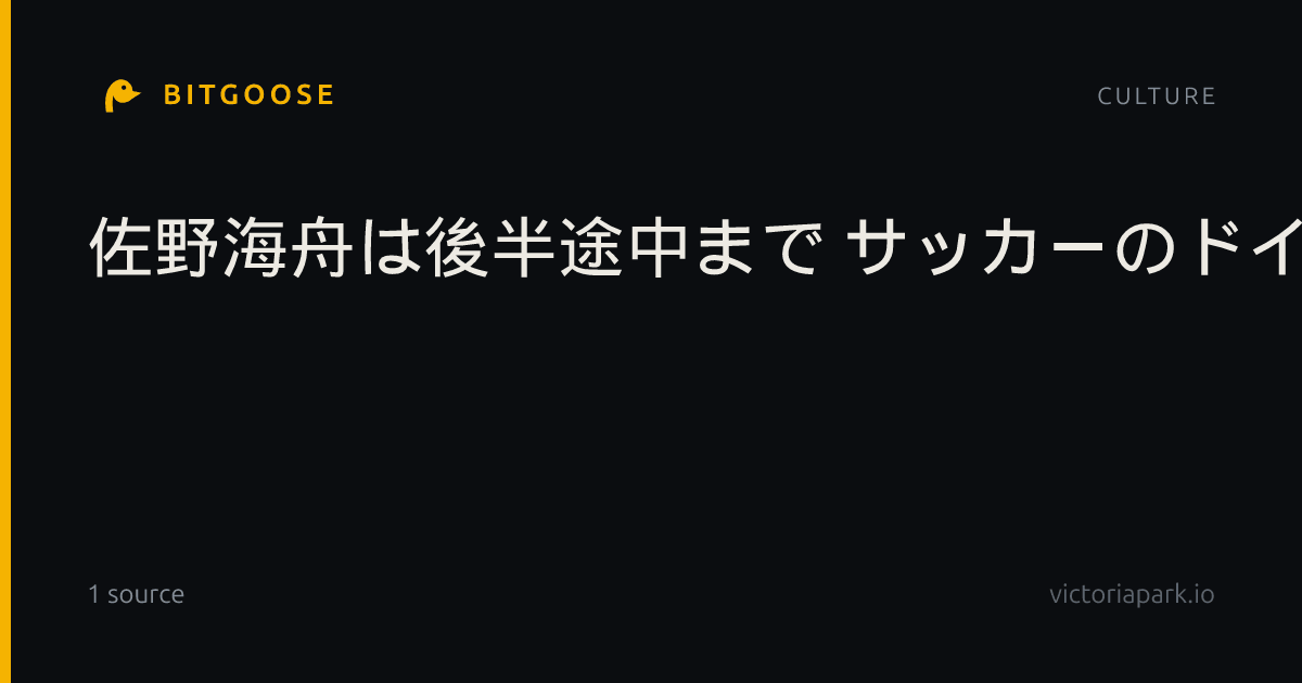 佐野海舟は後半途中まで サッカーのドイツ1部
