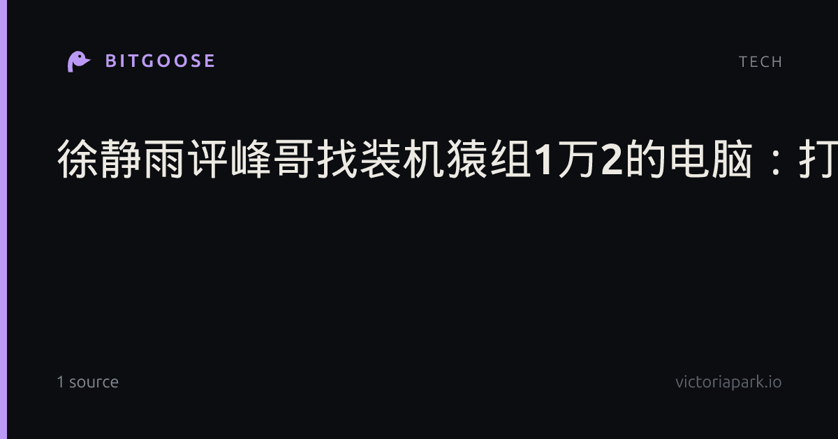 徐静雨评峰哥找装机猿组1万2的电脑：打游戏不够用！