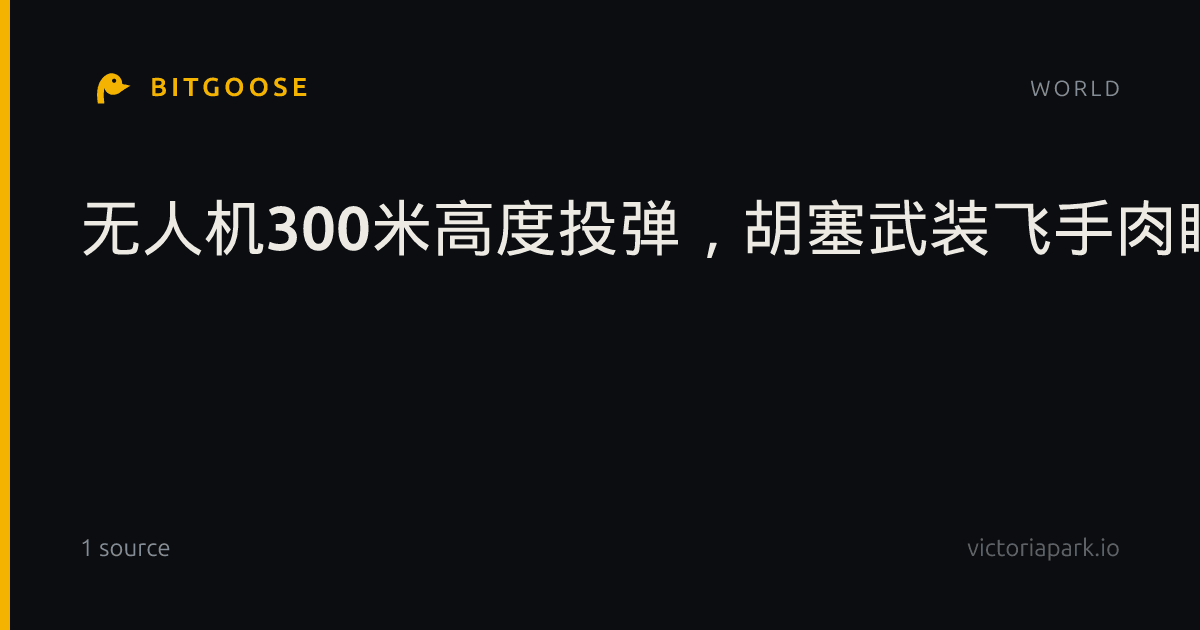 无人机300米高度投弹，胡塞武装飞手肉眼瞄准炸坦克