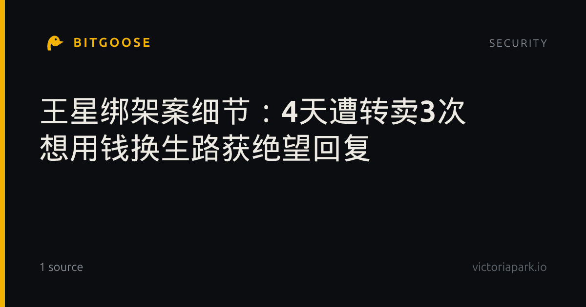 王星绑架案细节：4天遭转卖3次 想用钱换生路获绝望回复