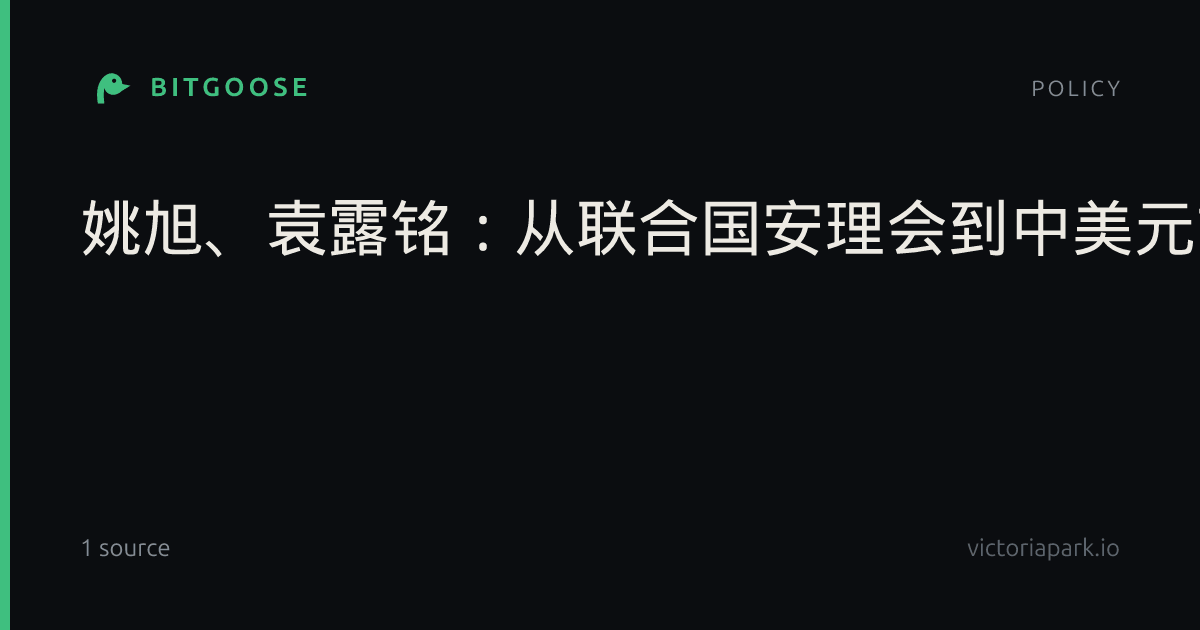 姚旭、袁露铭：从联合国安理会到中美元首会晤：AI治理需要一个什么框架？