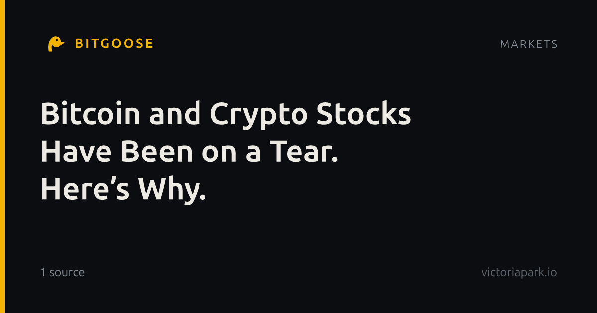 Bitcoin and Crypto Stocks Have Been on a Tear. Here’s Why.