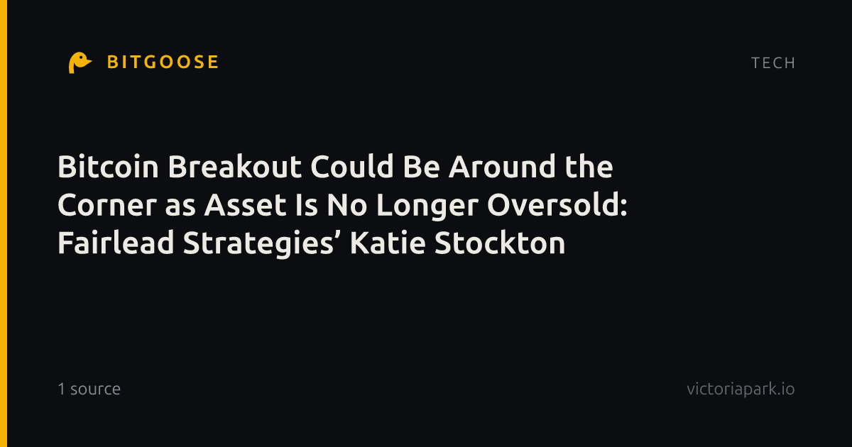 Bitcoin Breakout Could Be Around the Corner as Asset Is No Longer Oversold: Fairlead Strategies’ Katie Stockton
