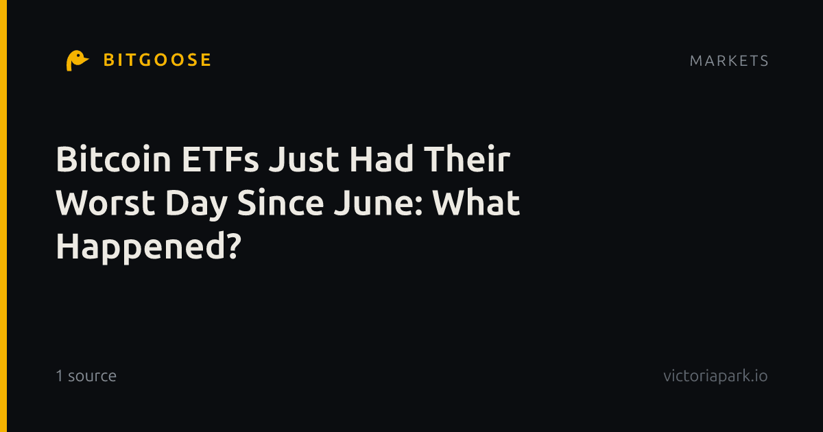 Bitcoin ETFs Just Had Their Worst Day Since June: What Happened?