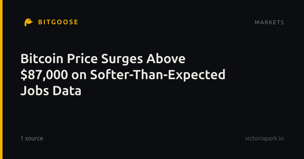 Bitcoin Price Surges Above $87,000 on Softer-Than-Expected Jobs Data
