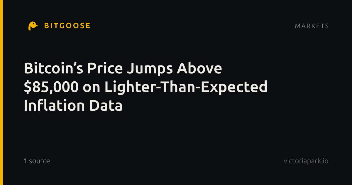 Bitcoin’s Price Jumps Above $85,000 on Lighter-Than-Expected Inflation Data