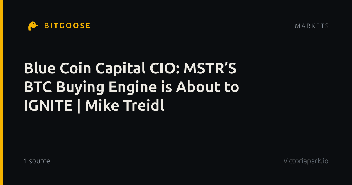 Blue Coin Capital CIO: MSTR’S BTC Buying Engine is About to IGNITE | Mike Treidl