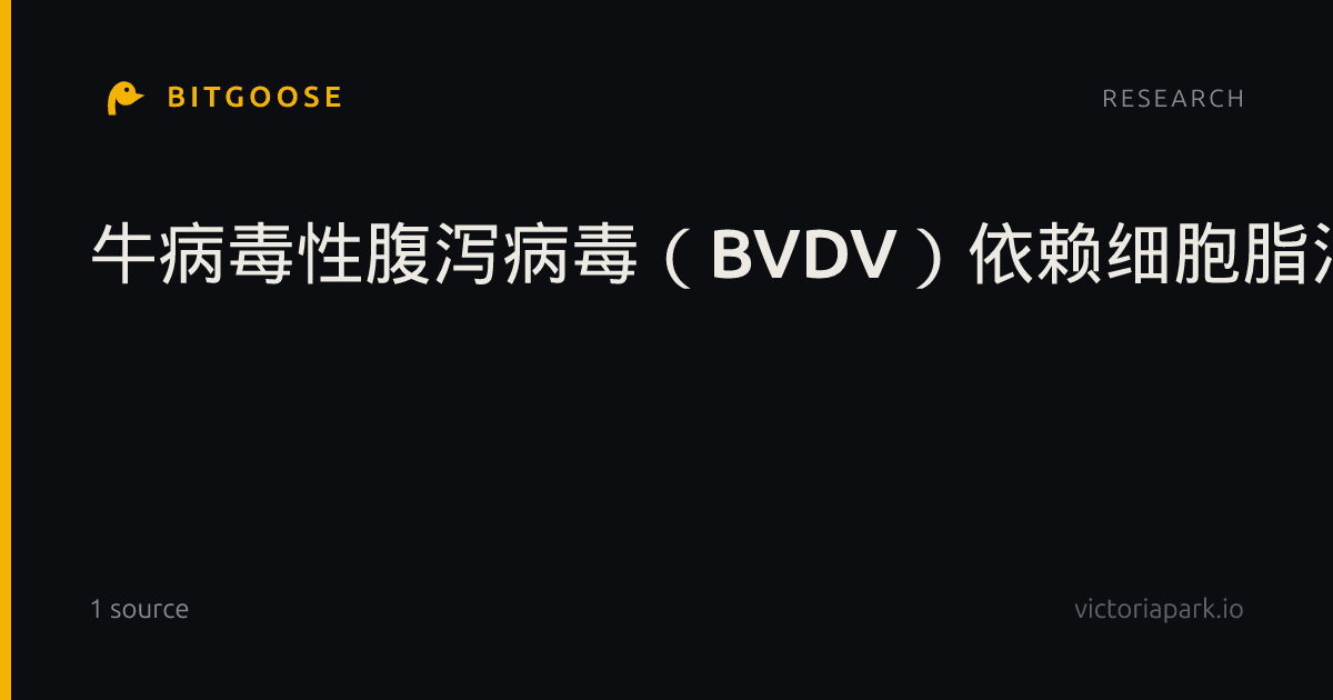 牛病毒性腹泻病毒（BVDV）依赖细胞脂滴生物发生与脂解为病毒复制提供能量