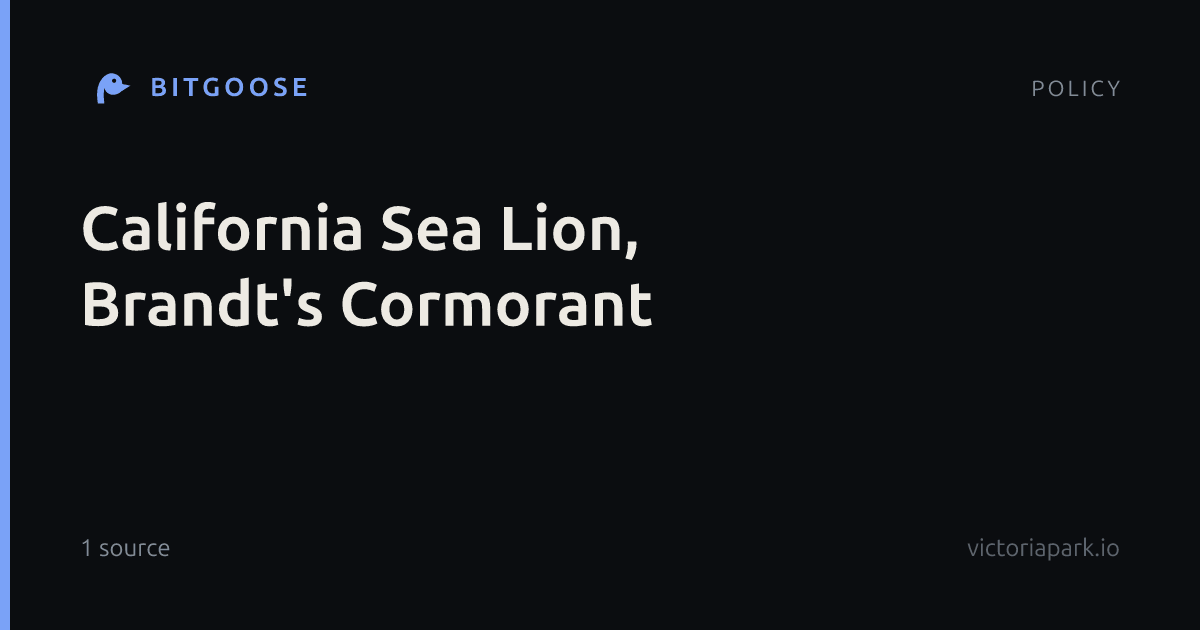 California Sea Lion, Brandt's Cormorant