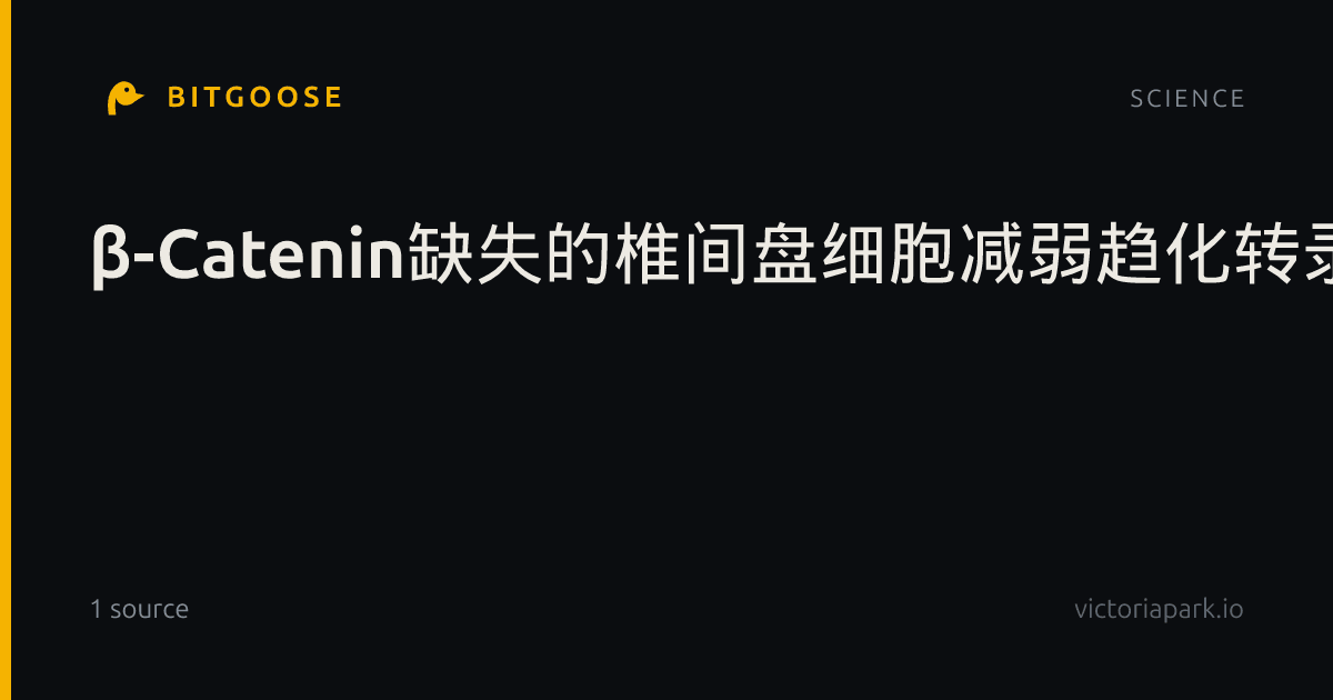 β-Catenin缺失的椎间盘细胞减弱趋化转录及髓系细胞向小鼠损伤椎间盘的募集