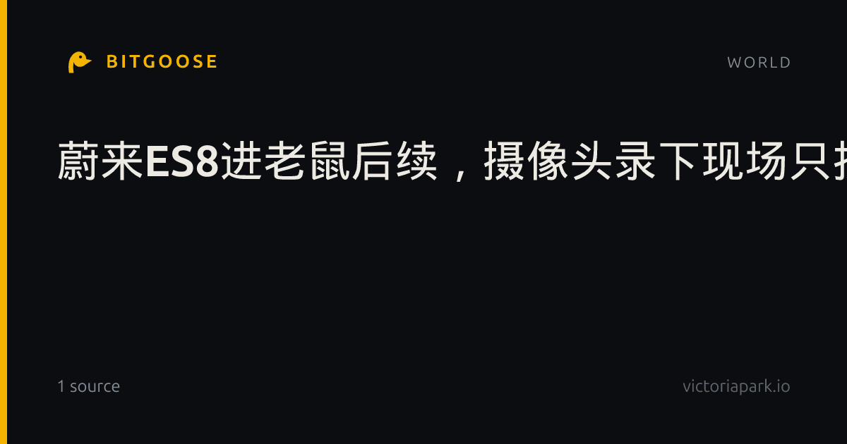 蔚来ES8进老鼠后续，摄像头录下现场只抓住一只