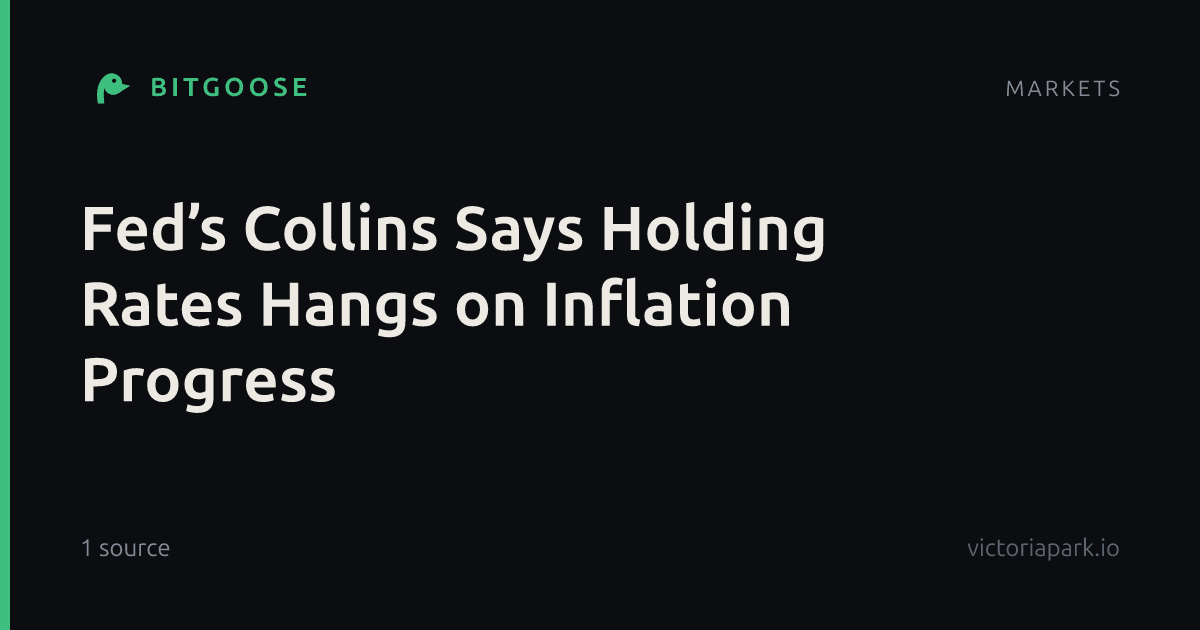 Fed’s Collins Says Holding Rates Hangs on Inflation Progress