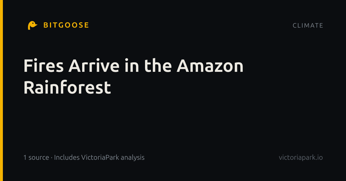 Fires Arrive in the Amazon Rainforest