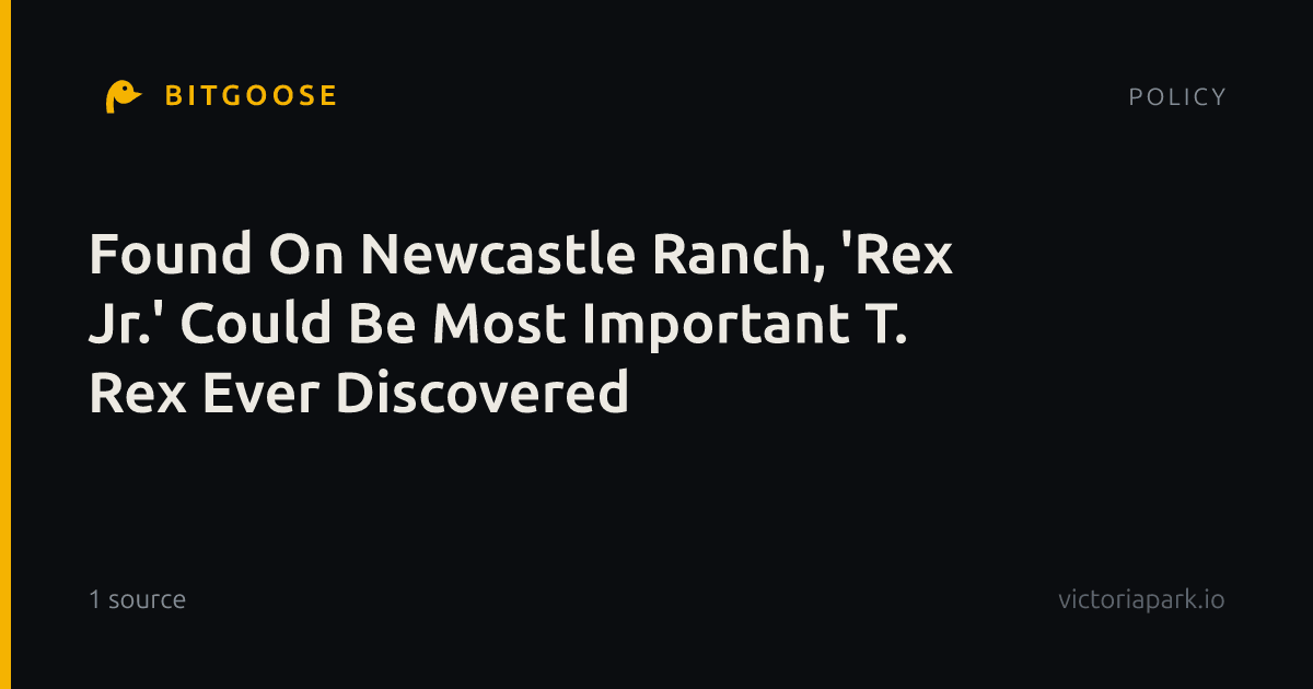 Found On Newcastle Ranch, 'Rex Jr.' Could Be Most Important T. Rex Ever Discovered