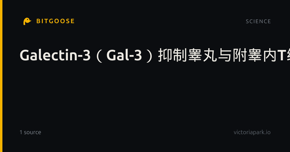 Galectin-3（Gal-3）抑制睾丸与附睾内T细胞驱动的炎症反应