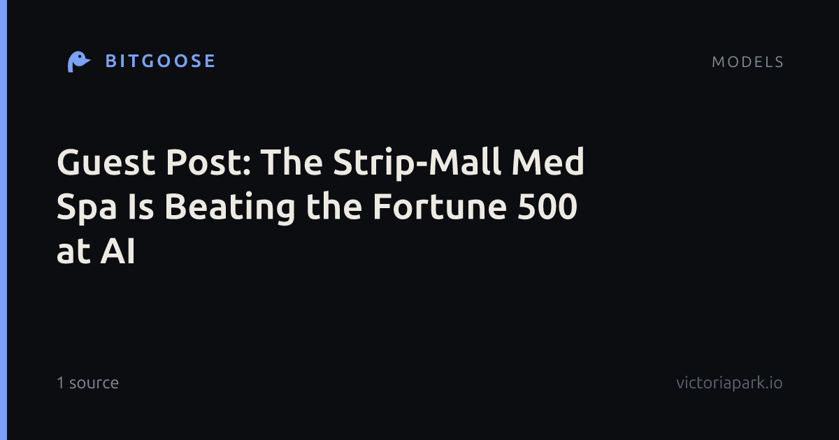 Guest Post: The Strip-Mall Med Spa Is Beating the Fortune 500 at AI