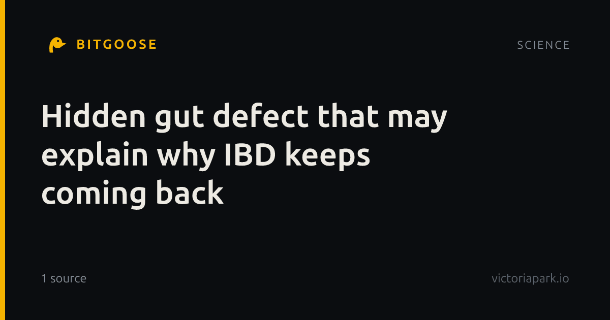 Hidden gut defect that may explain why IBD keeps coming back